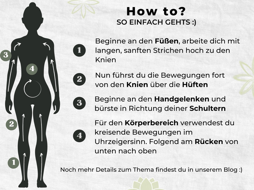 Anleitung zum Trockenbürsten mit Körperdiagramm und Schritten für Füße, Knie, Hüften, Handgelenke und Rücken