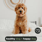 Dog comb undercoat for long-haired dogs & cats - de-matting comb