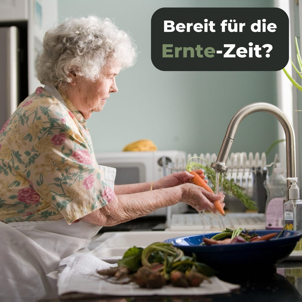 Obst-Gemuese-Reinigungsbuerste-Erntezeit