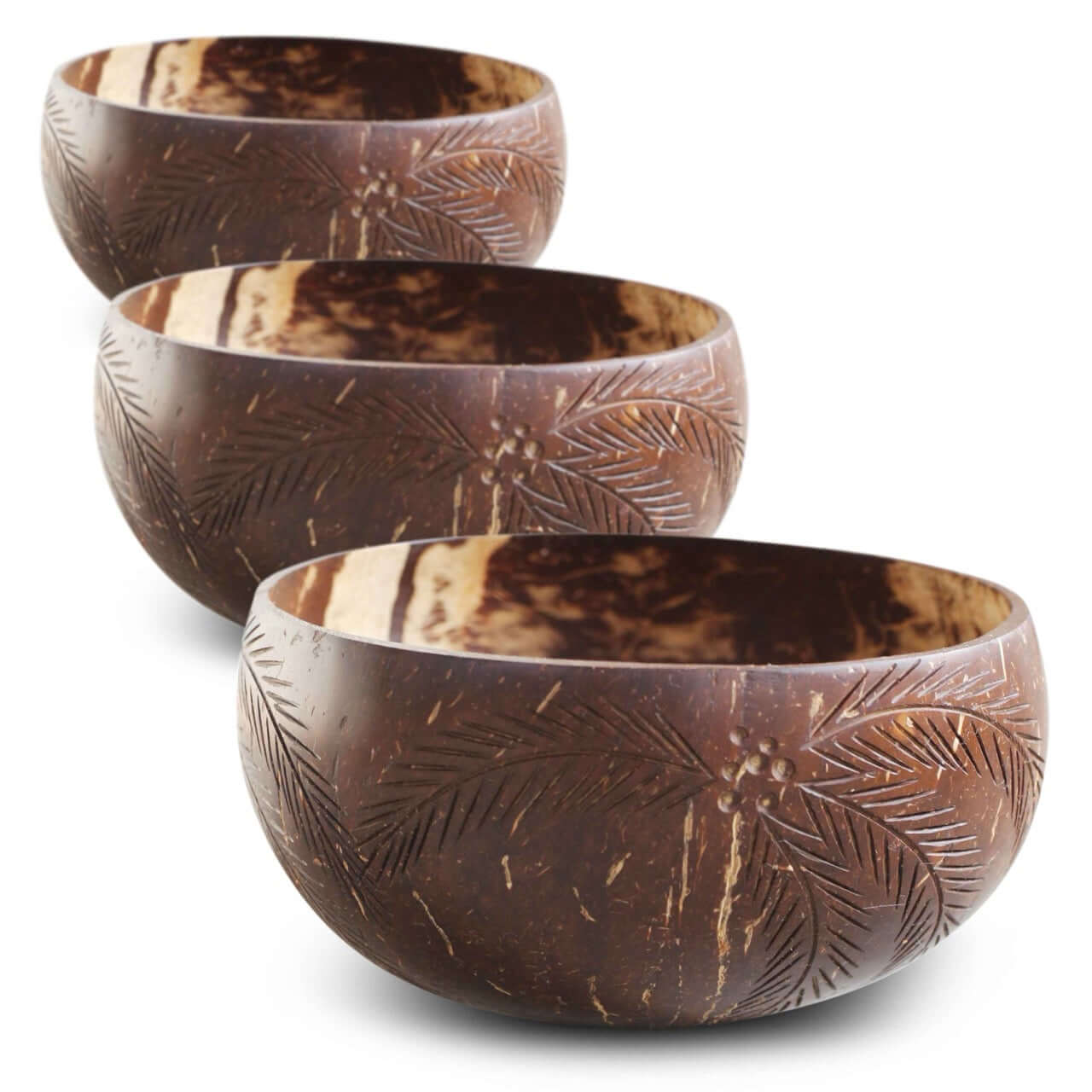3x Kokosnuss Schalen Set Palmen (2x M, 1x XL)