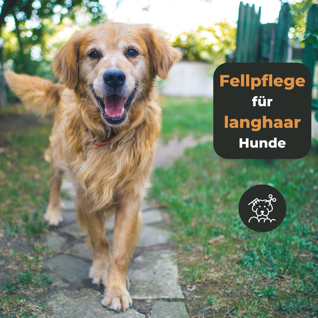 YOKOPET Fellentwirrer Für Hunde & Katzen - Unterwolle Bürste Gegen Verfilzungen